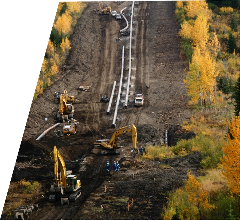 Heavy Equipment Rental Company