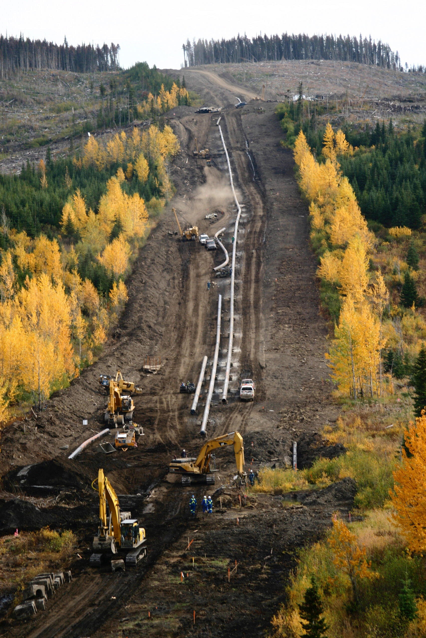 Heavy Equipment Rental Company